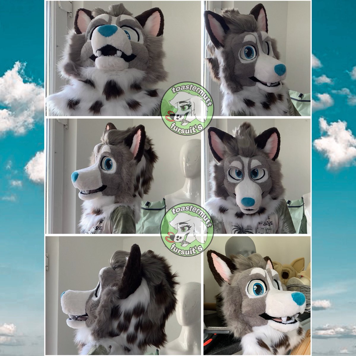 ToastermuttFS's tweet photo. ❄️Finished Head❄️
Finished fursuit head! I love this characters design and I can’t wait to complete the rest of this mini partial, including a HUGE tail!!!👀
WIP’s of this head along with other fursuits I’m working on are posted on my telegram channel linked in my bio!🎨🪡 https://t.co/8weMGGJhec