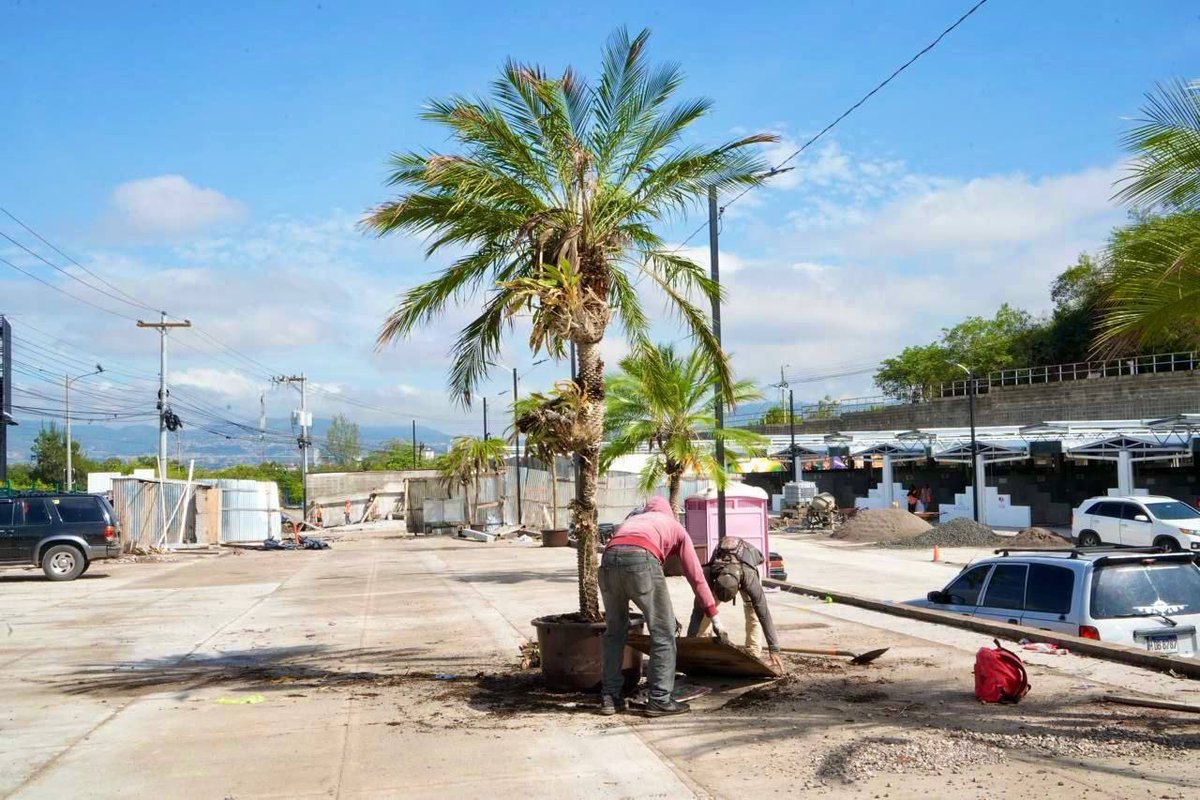 Avanzamos en la última etapa de la construcción y detalles del mercado Villa Nueva, obra que dignificará y mejorará las condiciones para los emprendedores, productores y compradores en la capital.👷🏻‍♀️🧱🪴🌱🧑🏻‍🌾🛒

Con proyectos e inversión, estamos dinamizando la economía