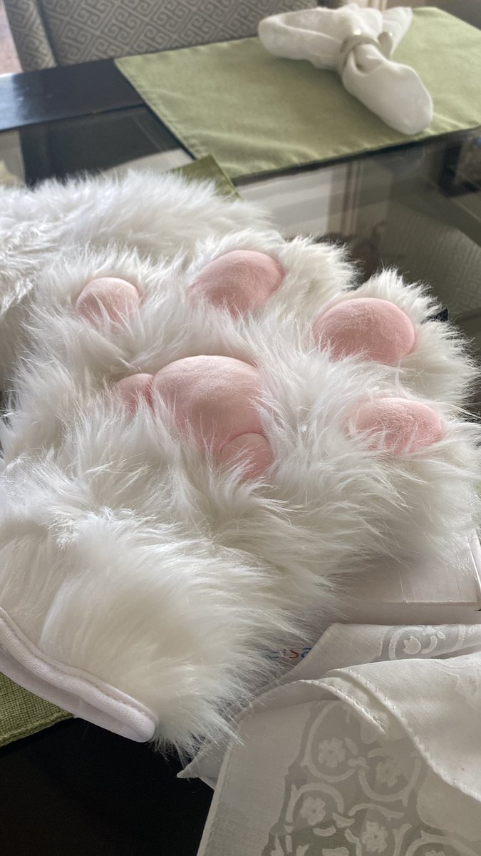 sugartabx's tweet photo. spirit halloween paws bought https://t.co/Mb5zcVnT4a