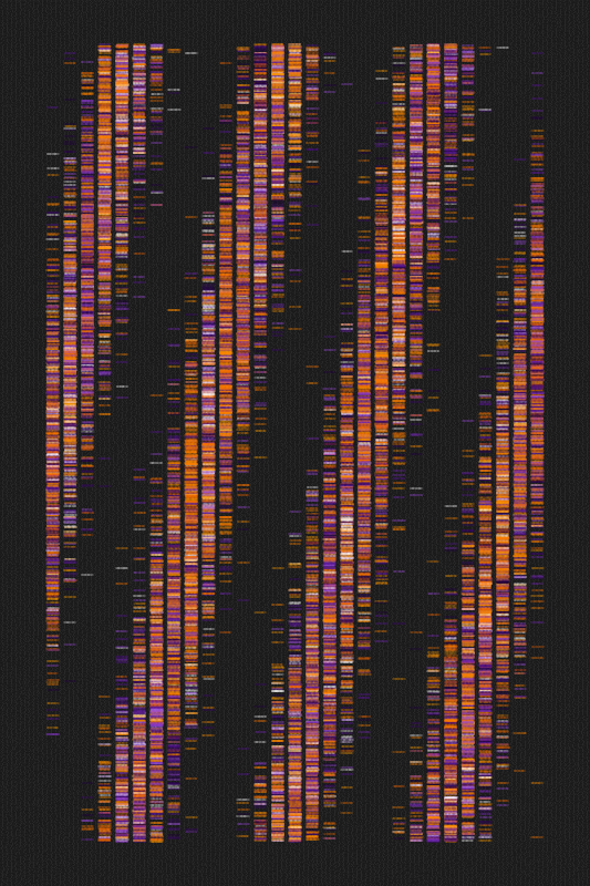 captainjack 🏴‍☠️ tweet media