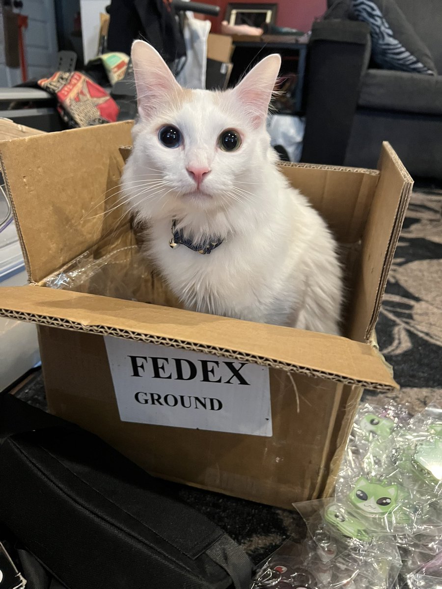 spoodbeemp's tweet photo. Delivery! https://t.co/MEPSHeaoxO
