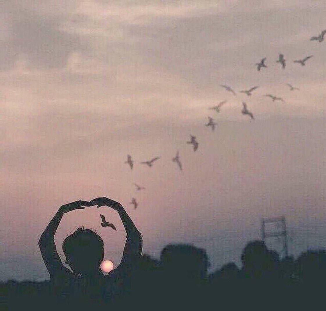 للحين أدور في  سما  الغيب ميعاد 

          و أقول يمگن في  سحابة  وتمطرگ . .
•

 #دانة_السعد🍃🕊️