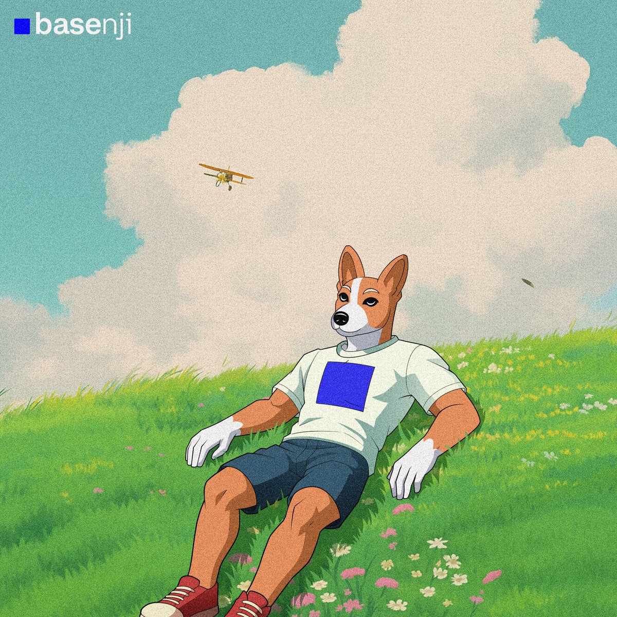 Basenji tweet media
