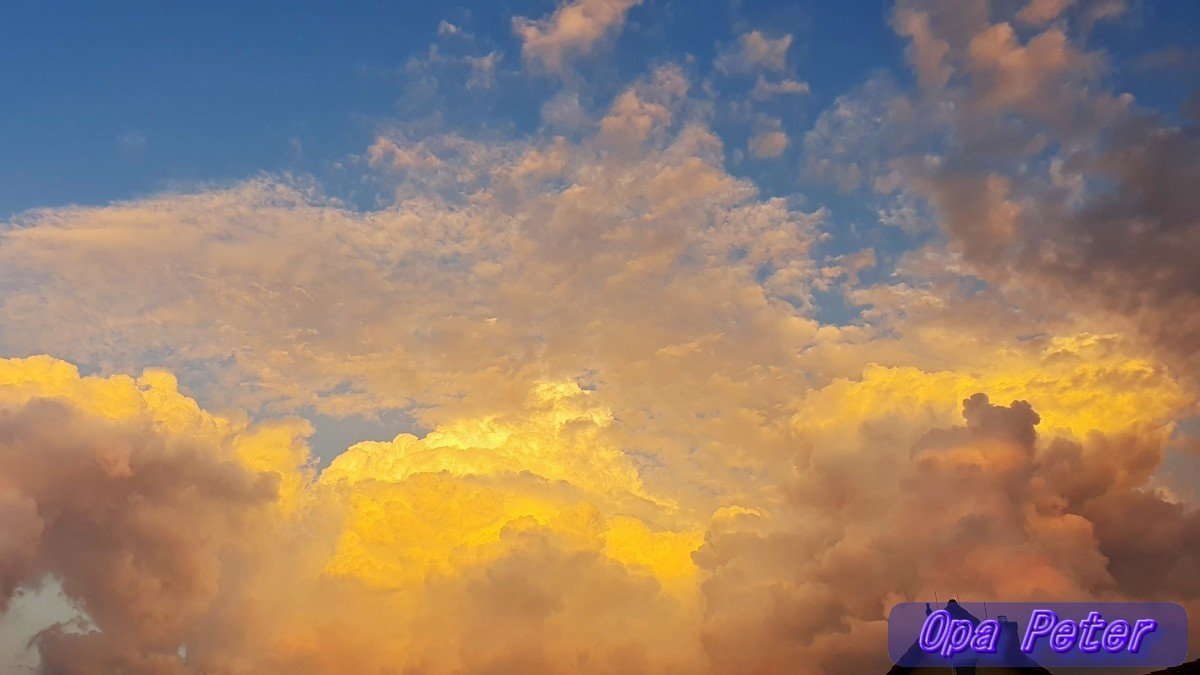 Moin allerseits!
Wünsche, wohl geruht zu haben!
Habt einen schönen Tag ☀️🍀💖

➡️Ein alkoholisierter Mann greift in einer Tankstelle in Sonthofen (Bayern🤷‍♂️) eine Verkäuferin mit einer Schweinshaxe an. – So ein Ferkel!

Auf geht's, Früh-Runde mit🐕‍🦺Aimy.
#Briesen(Mark) #Oderland