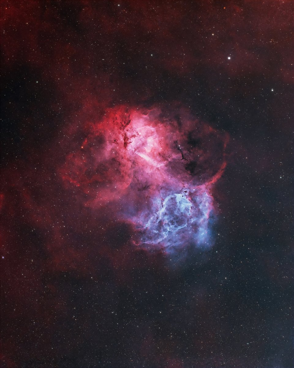 The Lion Nebula 📸

I just love the colors of this emission nebula in Cepheus - and late August is a great month to start photographing it.

My latest version of the Lion Nebula includes exactly 7 hours of total exposure time (84 x 300s) using the little RedCat 51 telescope with