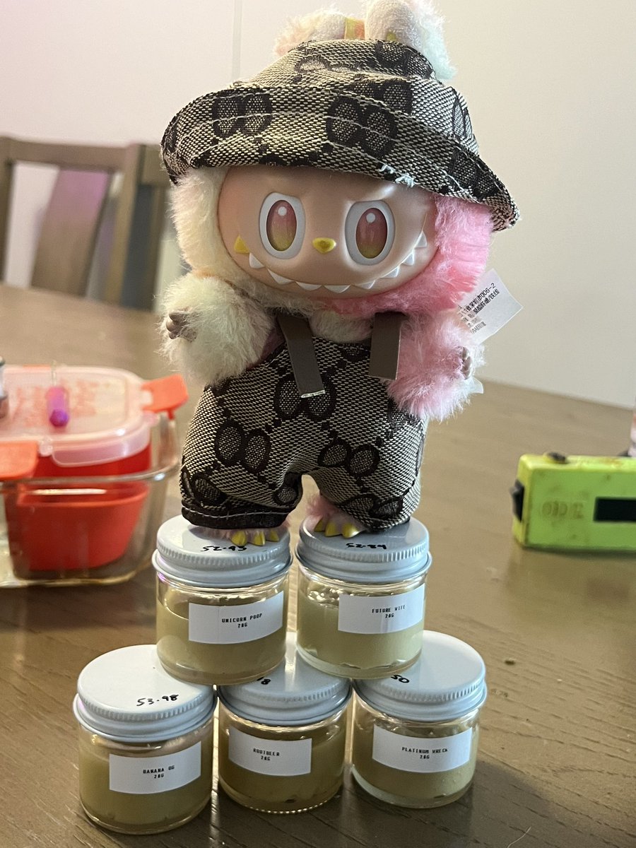 Labubu Guarding the Hash Stash