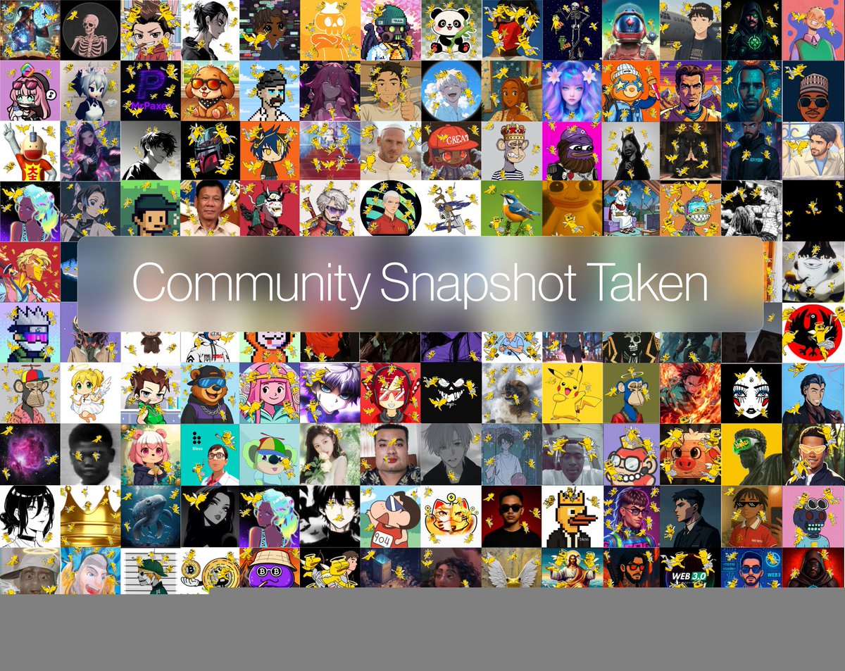 g0dffrey_'s tweet photo. Say, Cheeeseee! 📸

The Community Snapshot has been taken!

Soon, a new chapter will begin, and we’ll embark on a fresh journey as the mainnet launches.

I’m proud to be part of the Blessheads community, built on such a strong and solid foundation.

Every day we chat, joke, and laugh together in our community server, keeping the vibes alive and strengthening our bond as a true community.

We’ve gone through so much together, and you truly deserve this (Role Holders).

And now, the time is near — the TGE phase is coming. Congratulations to the community! You rightfully deserve these rewards for helping build and grow such an amazing community.