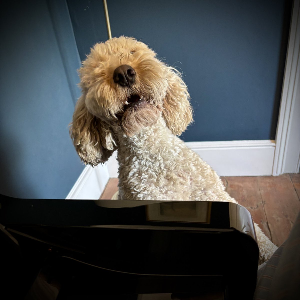 Today’s little helper
