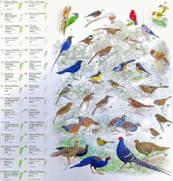 Gunnar Engblom tweet media