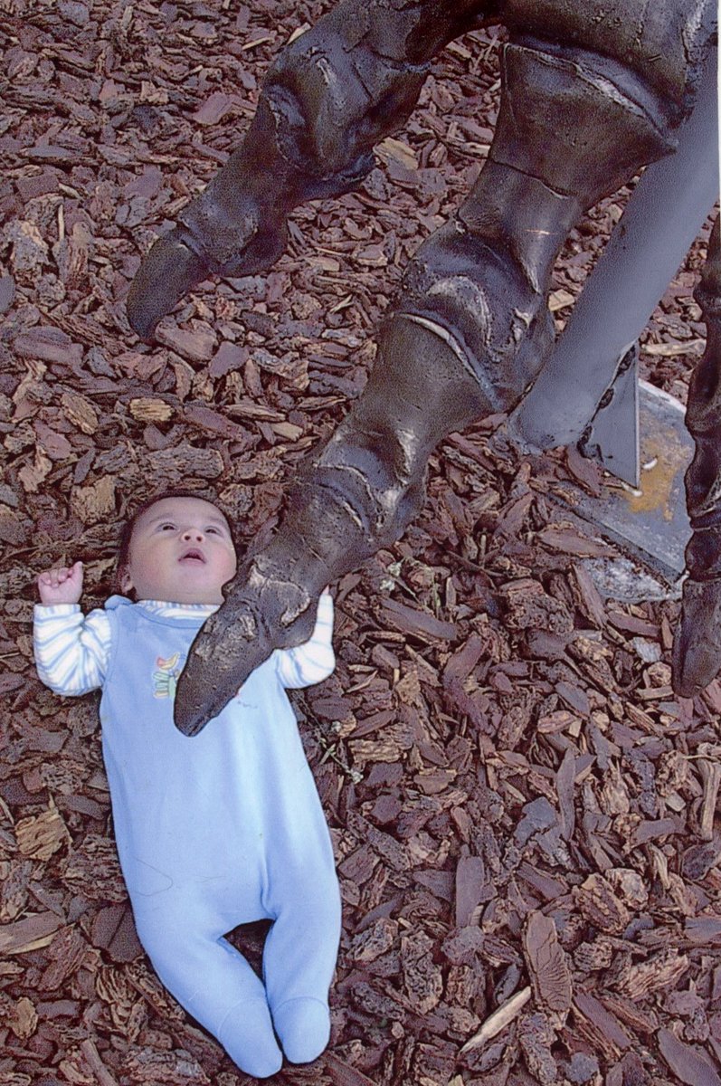 Happy #FossilFriday ! This image is to celebrate the (almost) 25th anniversary of when the Society of Vertebrate Paleontology meeting was in Bozeman, MT in 2001. My (then) young son Darwin's first SVP, here posed under the foot of MOR 555, the T. rex "Big Mike".