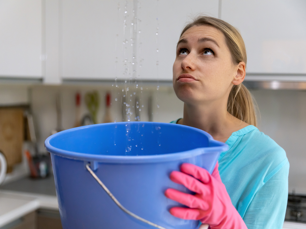 Did the #monsoon rain in #phoenix get in your house last night? bit.ly/3HMfeYf