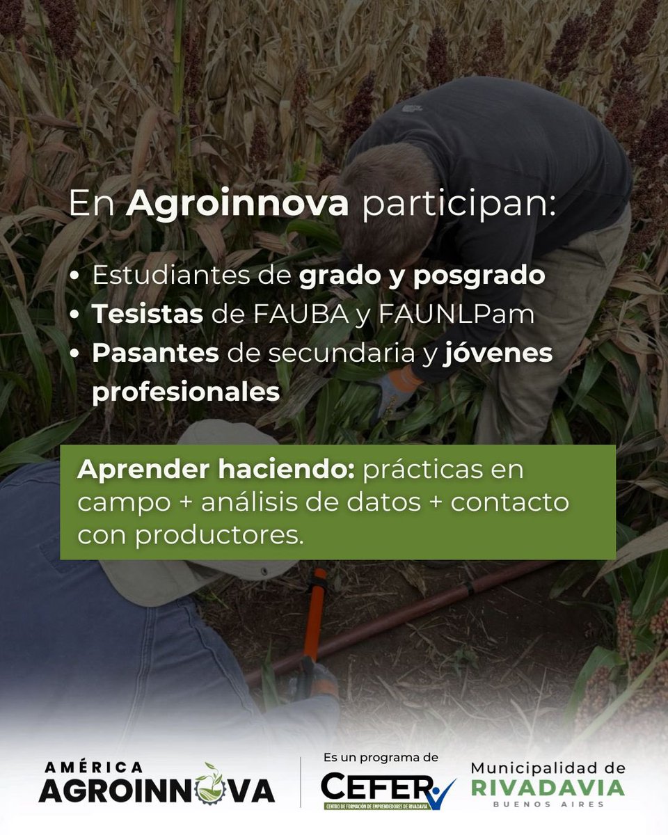 americaagr66078's tweet photo. Somos un centro de formación e investigación que vincula universidades, productores, empresas y municipio en proyectos de investigación aplicada.

+600 parcelas experimentales, tesis de grado y posgrado, pasantías y prácticas que forman profesionales https://t.co/83ta48Y5A7