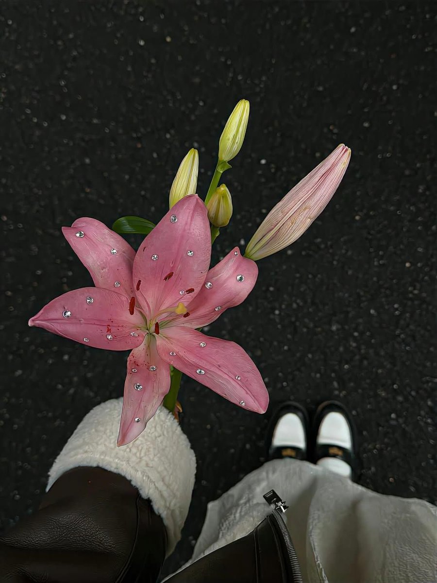❀ (@i3moment) on Twitter photo 