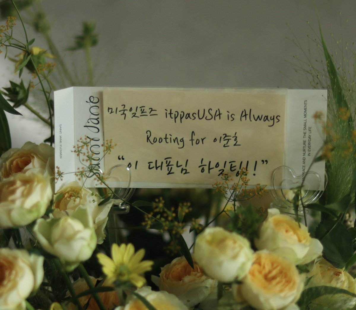 itppasUSA미국잊프즈 tweet media