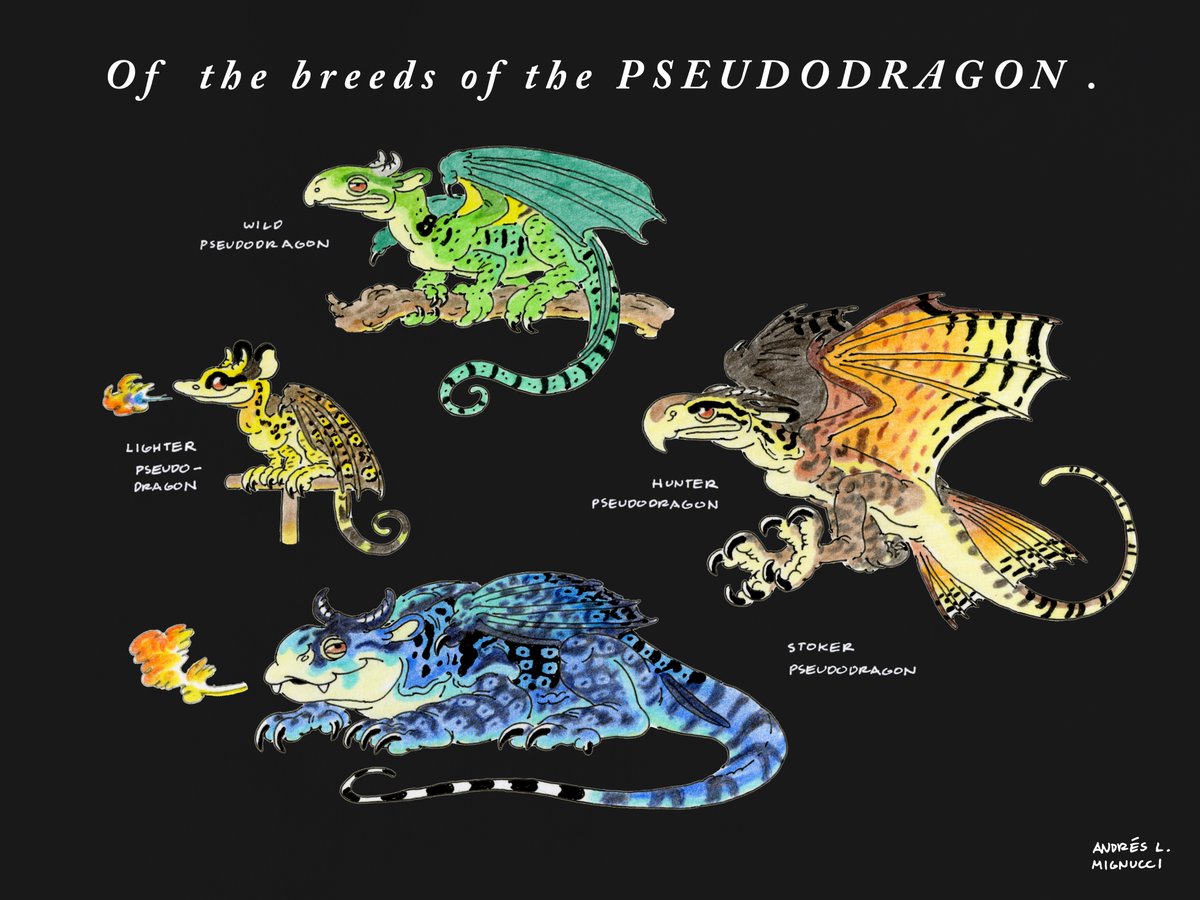 Andrés L. Mignucci tweet media