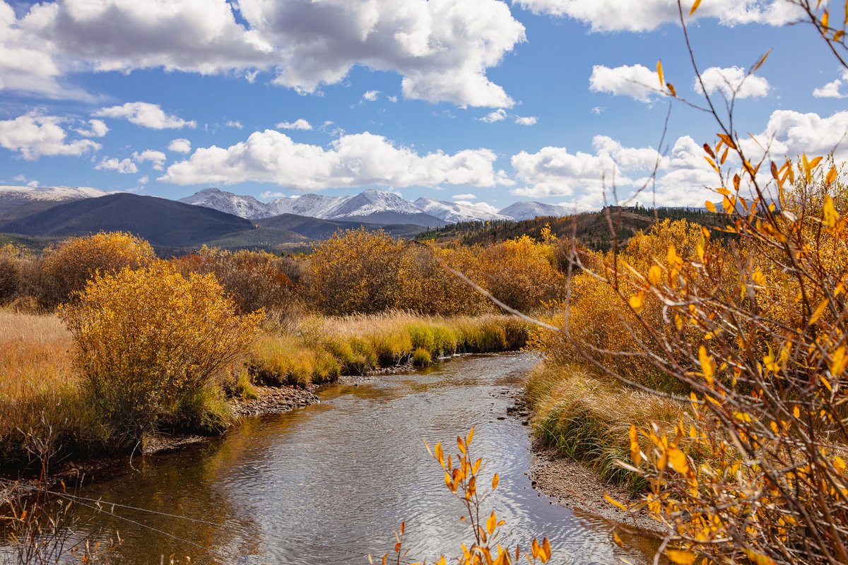 It's almost that time of year again! We're offering Elk Bugling tours during September &amp; October, so start planning now for fall in the Rockies! 
Tour info: ow.ly/Orgz50WKyCf