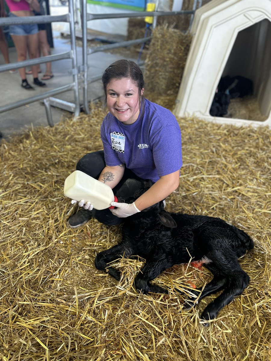 Fiona 💞 Our last calf of the day was born at 2:46pm! She weighs 86lbs. Fiona is the last calf from our first host farm!  #uddermiracles #uddermiracle  #dairycowbirthingcenter #advocateforag #dairy #milk #dairycows #dairyfarm