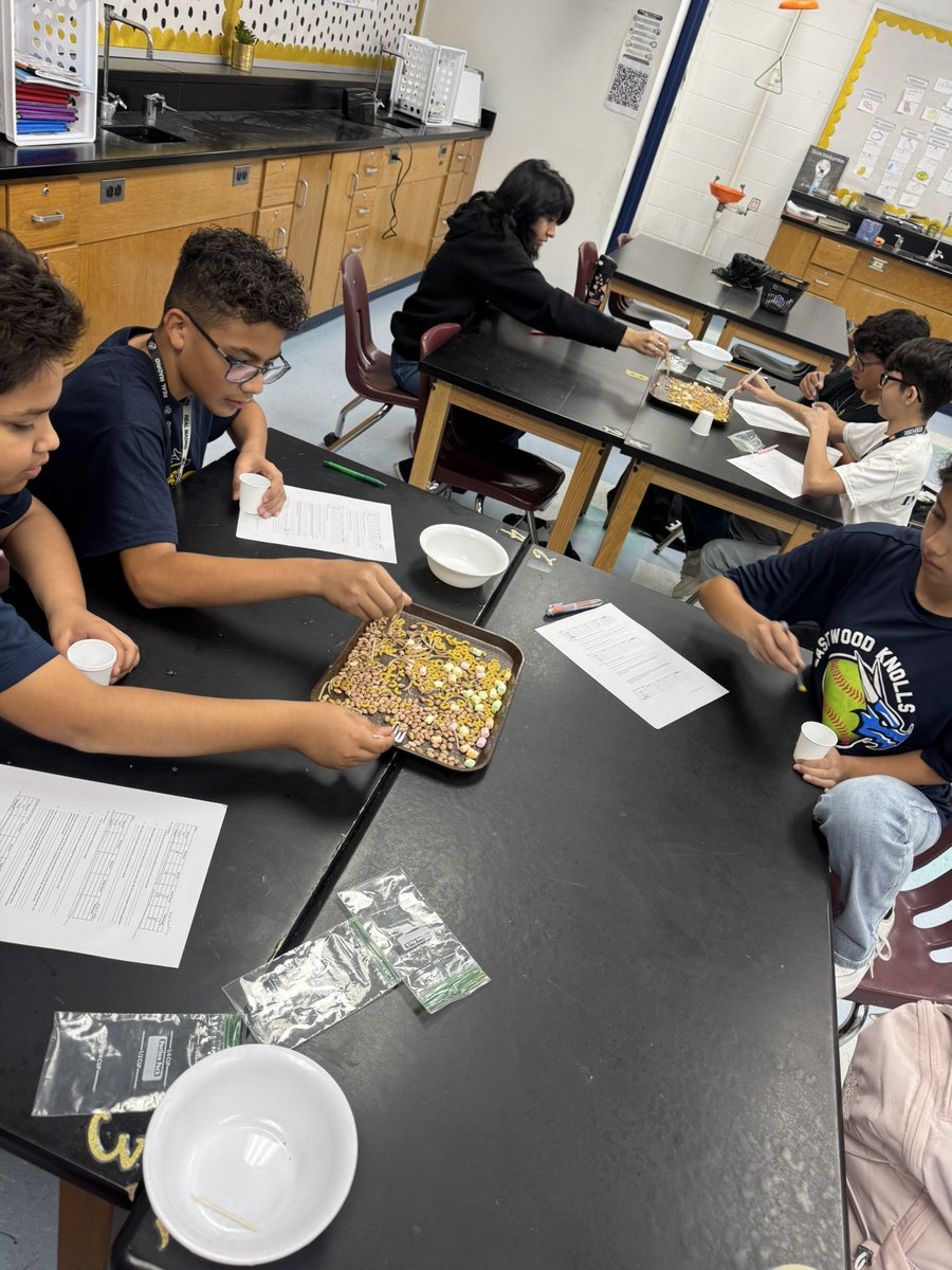 Competition, natural selection and adaptations with a good old bird beak lab 🦜🦆🦅🐓

These inputs and outputs are making my heart so happy💙💛
<a href="/EastwoodKnolls/">Eastwood Knolls 💛💙</a>