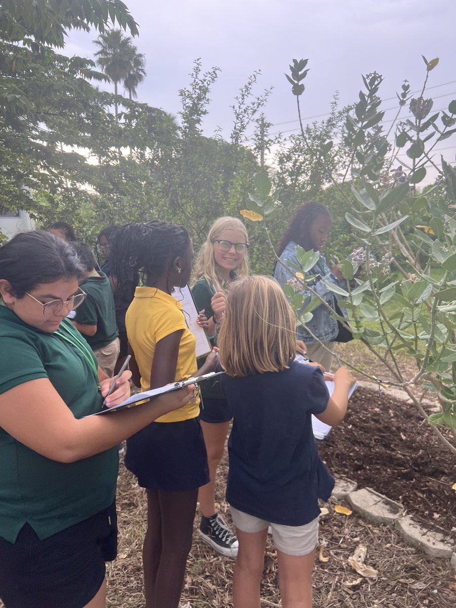 DrThaddiusGreen tweet media