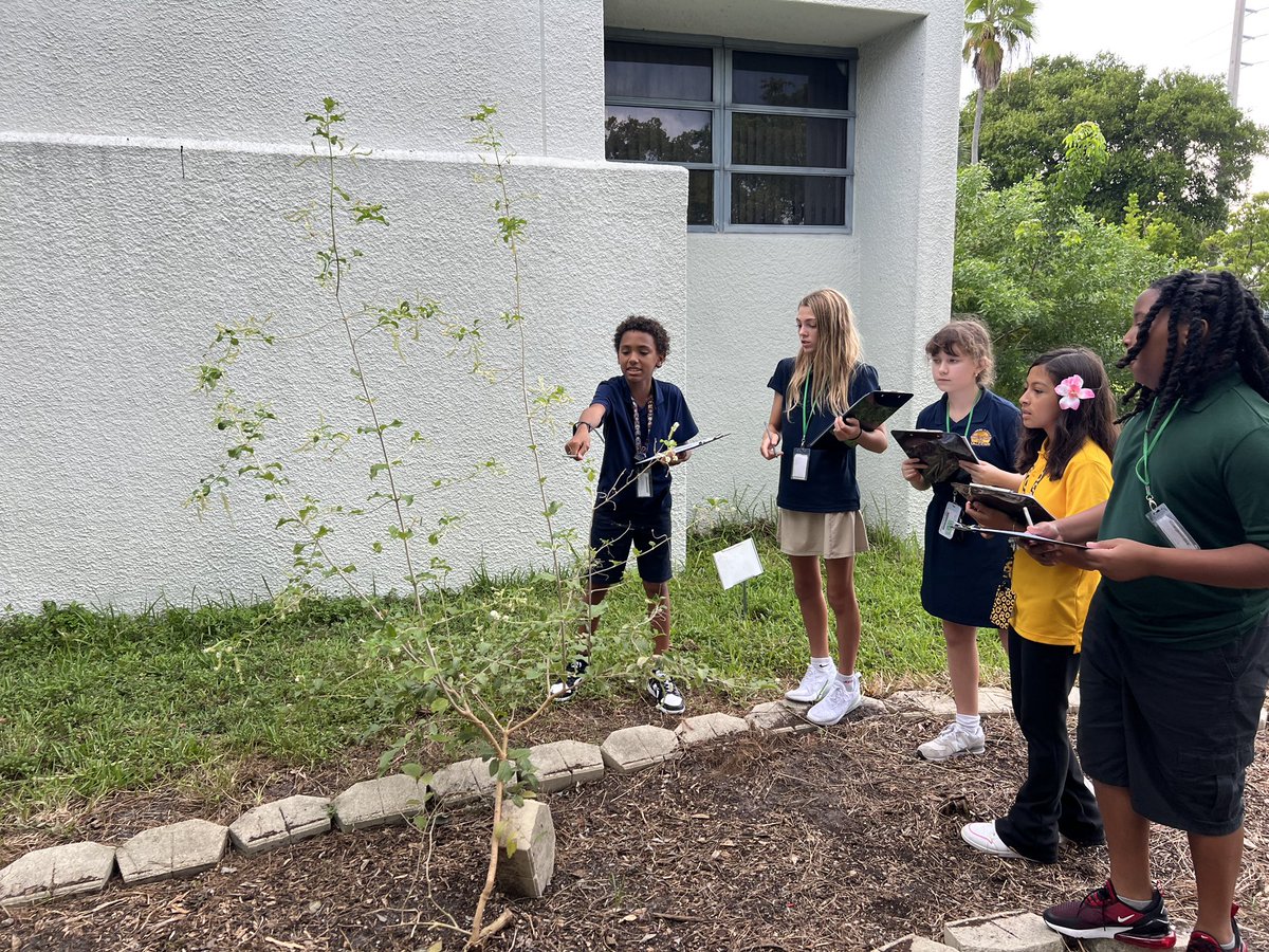 DrThaddiusGreen tweet media