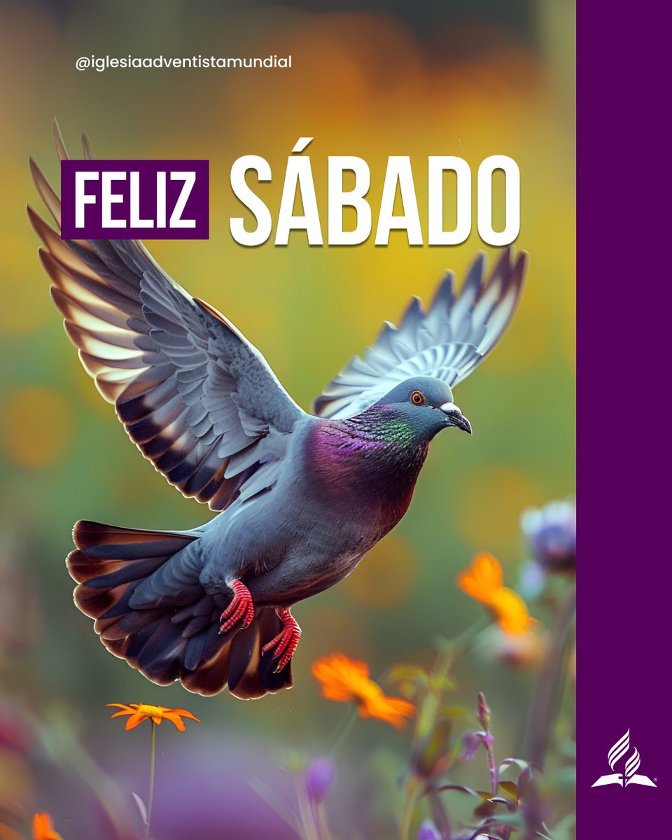 Feliz sábado. 
Que el silencio de hoy restaure tu ser, tu espíritu se renueve con la luz de Cristo y tu alma celebre Su cercanía. 🙏✨