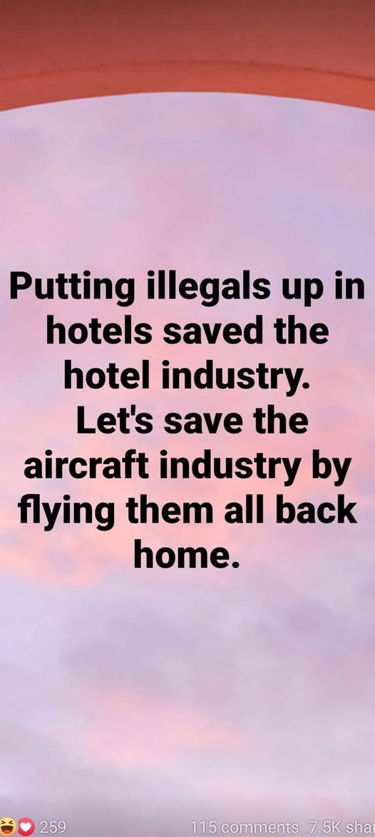 ineke magrijn 💙🏛️ (@ineke_at) on Twitter photo 