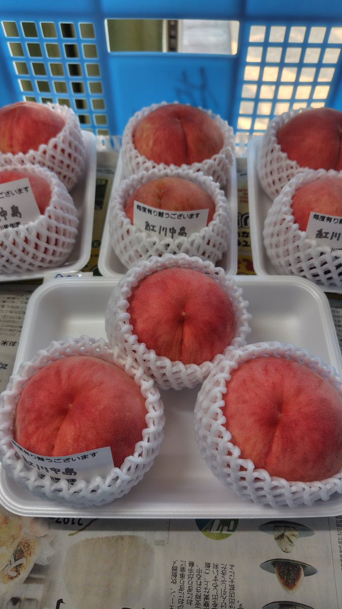 mvYyd6SgJXgY8wH's tweet photo. 今日（08/23）から
🍇雄宝（種無し）
🍑紅川中島
ソルダム
販売開始です。 https://t.co/JAMU4MLoi6