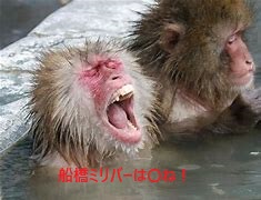 zakutohachigaun's tweet photo. サバゲ界って喧嘩しながらもなんだかんだ画像みたいな感じ。

「良い意味で猿山ｗww」

フィールドは僕らサバゲ猿達の温泉地だな！
湯につかると本音も出るじゃん？

いいんだよそれで。