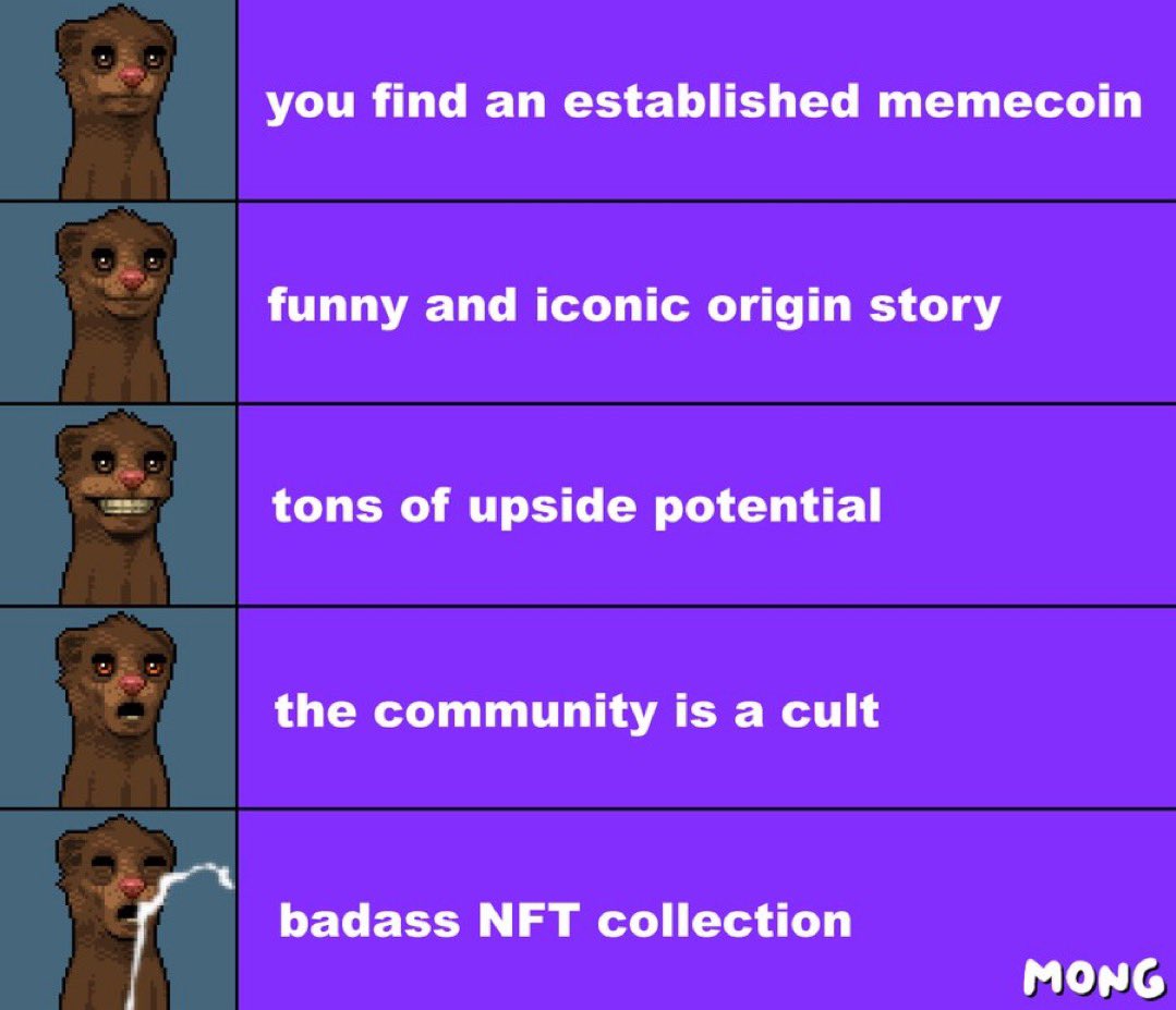 MONG COIN tweet media