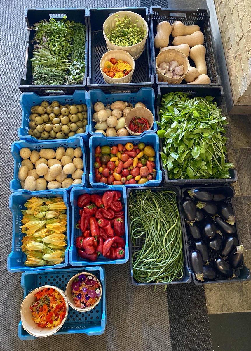 Arnold R. Witt tweet media