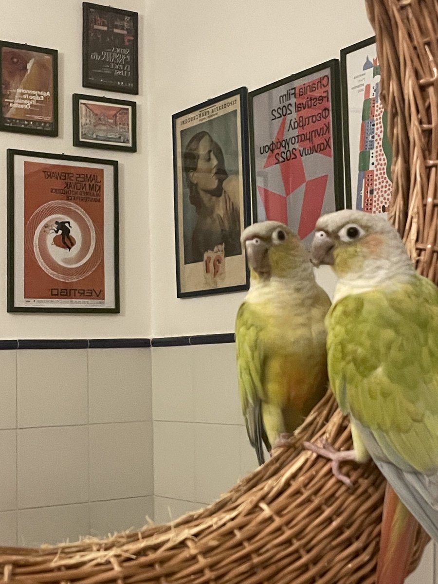 ceciliaconure's tweet photo. I’m not allowede here because i “eat the mirror” but hounestly, a beauty like me deserves mirror time , and to eat the mirror , These rules are fucking stupid I am So tired of t https://t.co/LUwVWecriM