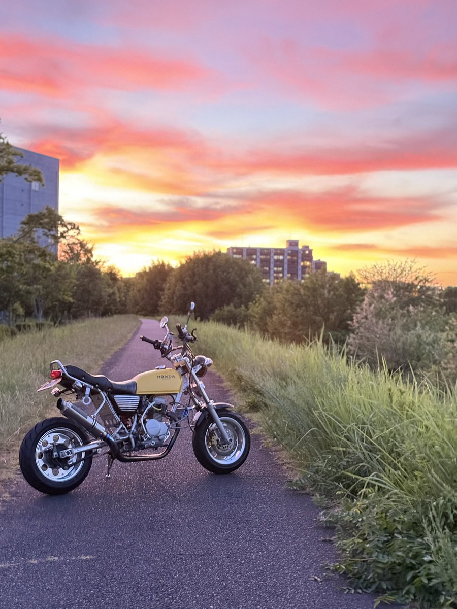 hirokiyo_rb tweet media