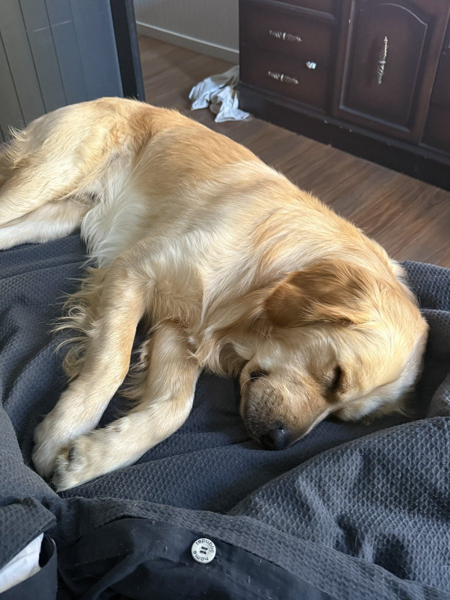 I wanna be this relaxed
