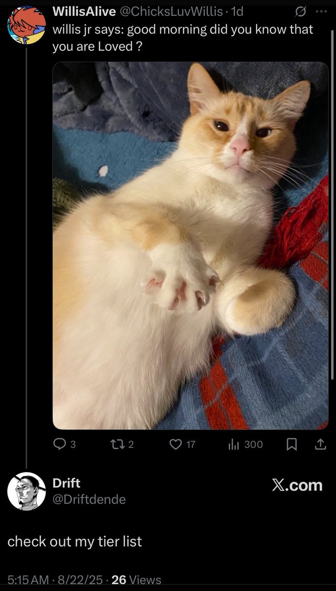 On a completely unrelated tweet btw he just oh so desperately wanted me to see ts