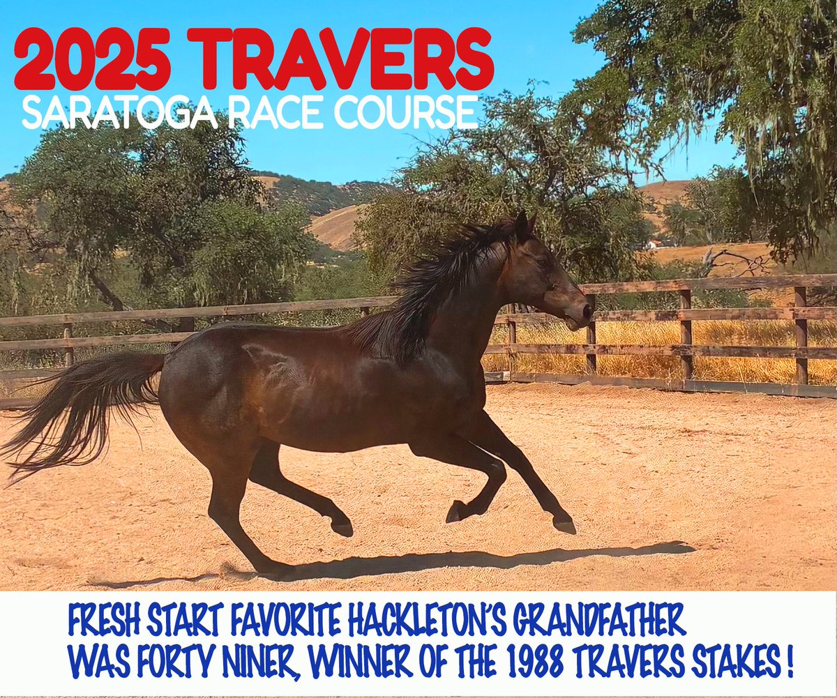 Watching or betting the Travers at Saratoga tomorrow? Won't you please donate 10.00/month, 20.00/month, 50.00/month to Fresh Start, to help retired race horses like our Hackleton enjoy the future they deserve? Help make a difference! Do it today! Donation info below....