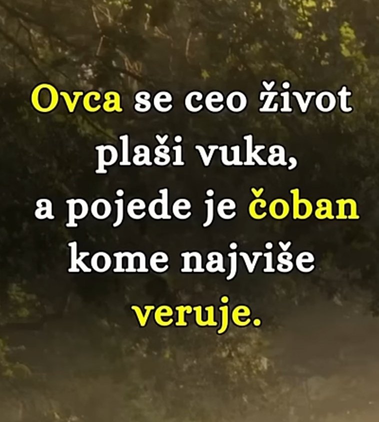 Tik tak tik tak...
Pa ko ce to pojesti ovcice? 
🤫🤫🤫🤫