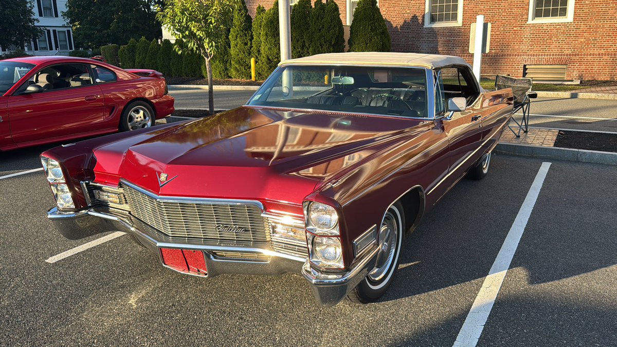 Pauline H tweet media