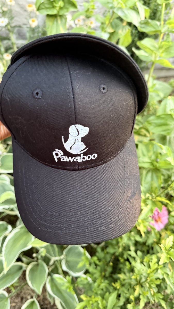 kaigaihema's tweet image. வெயிலு வேற ஒவரா இருக்கு , எனக்கும் , அவனுக்கும்…..😘🤩
#dog 
#Walkingpic
ஒரு அணில் செத்து கிடக்குது 🙄
பாவம்