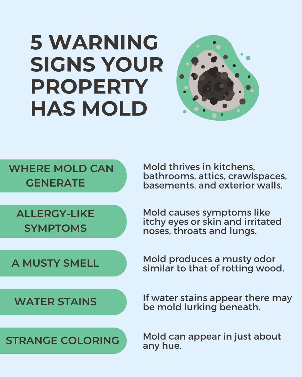 realtormag's tweet photo. How can homeowners head off mold problems before they begin? Here are five signs to pay attention to if you suspect mold in your property. https://t.co/n7og5hMmA2 https://t.co/HHWdbeaJOQ