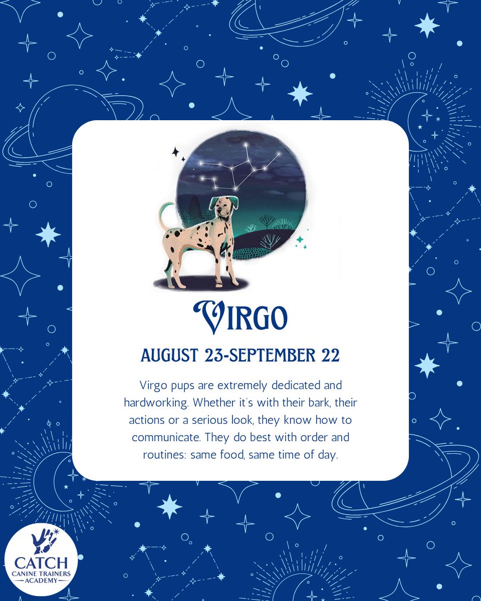 CATCHdogtrainer's tweet image. It's Virgo pup season! ♍️🐶

Strengths:
- Clean
- Takes direction well
- Quick learners
......
#CATCHCanineTrainersAcademy #DogTraining #DogTrainer #AnimalEducation #Horoscope