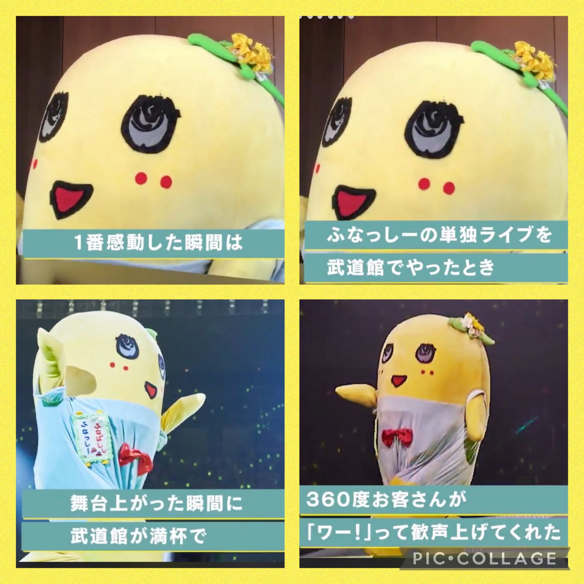 ふなっしー Amazon.co.jp: ふなっしー DXふなごろーの触角スペなし