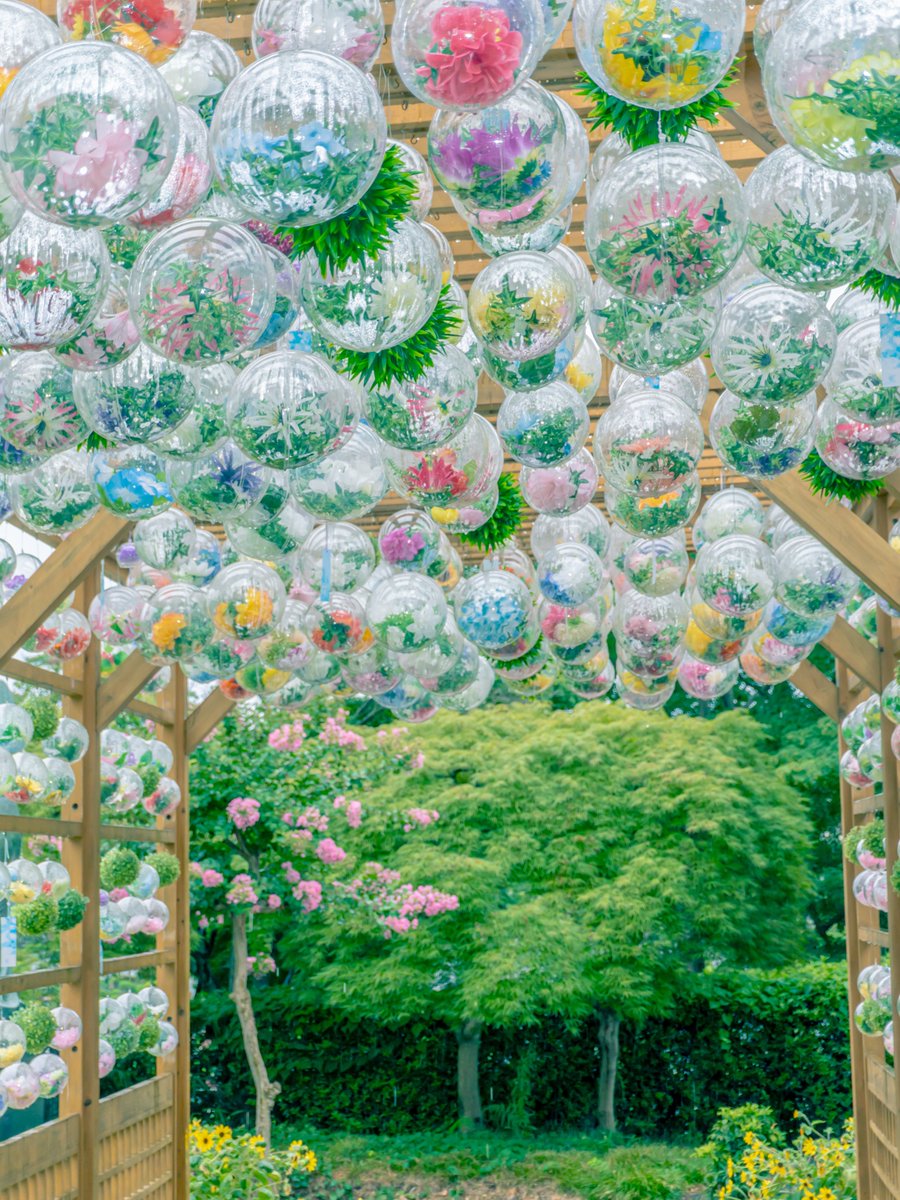 おはよ。お盆休み明けの1週間お疲れ様でした。
ゆるっとのんびり楽しい週末をヽ(・∀・)