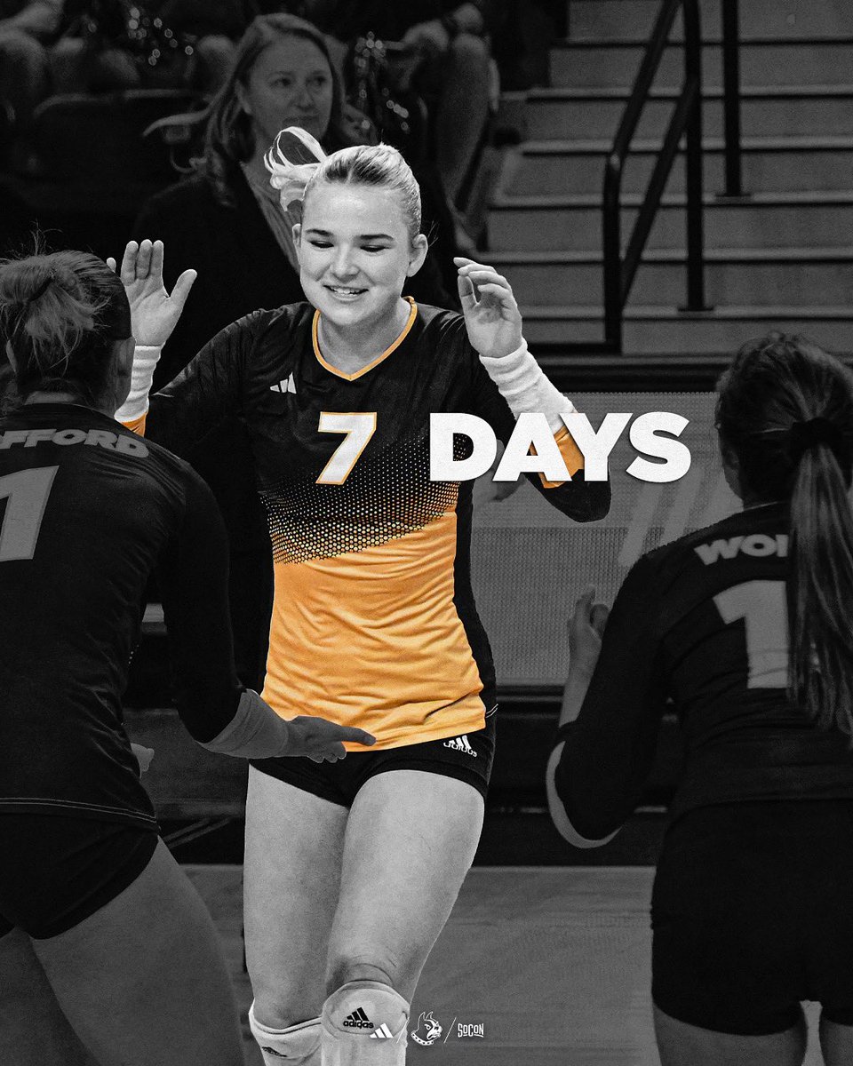 Wofford Volleyball (@woffordvb) on Twitter photo One more week!! 😄 Bri Mahoney days until we begin the season!
#ConquerAndPrevail One more week!! 😄 Bri Mahoney days until we begin the season!
#ConquerAndPrevail