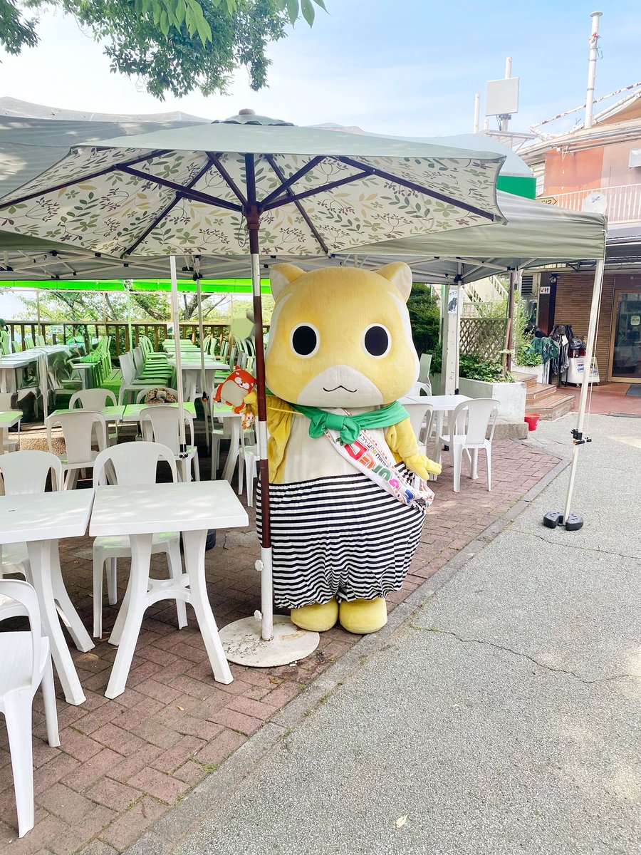 ムッちゃん tweet media