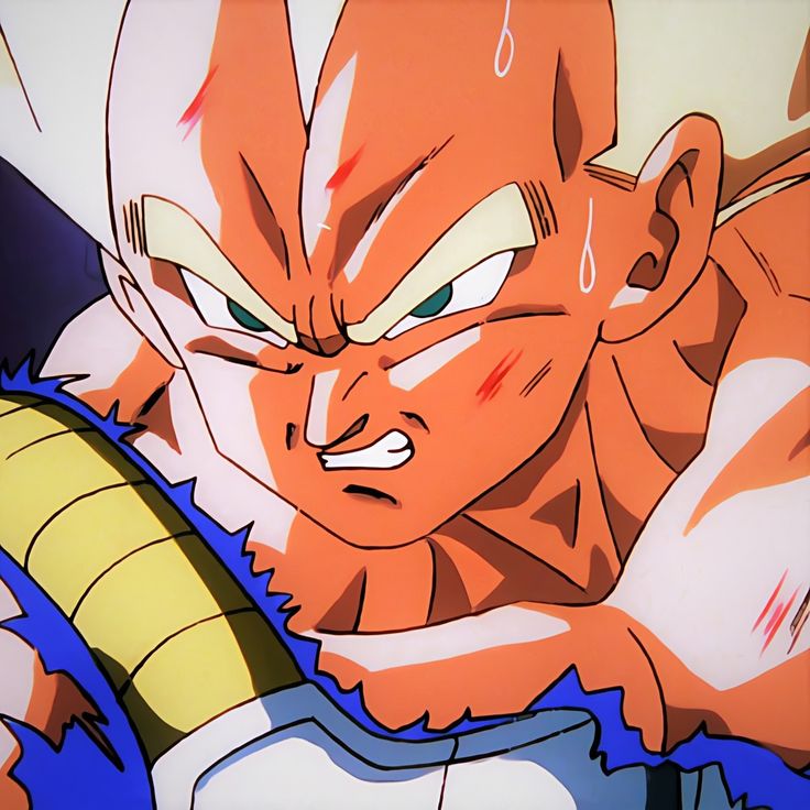 Daily Vegeta tweet media