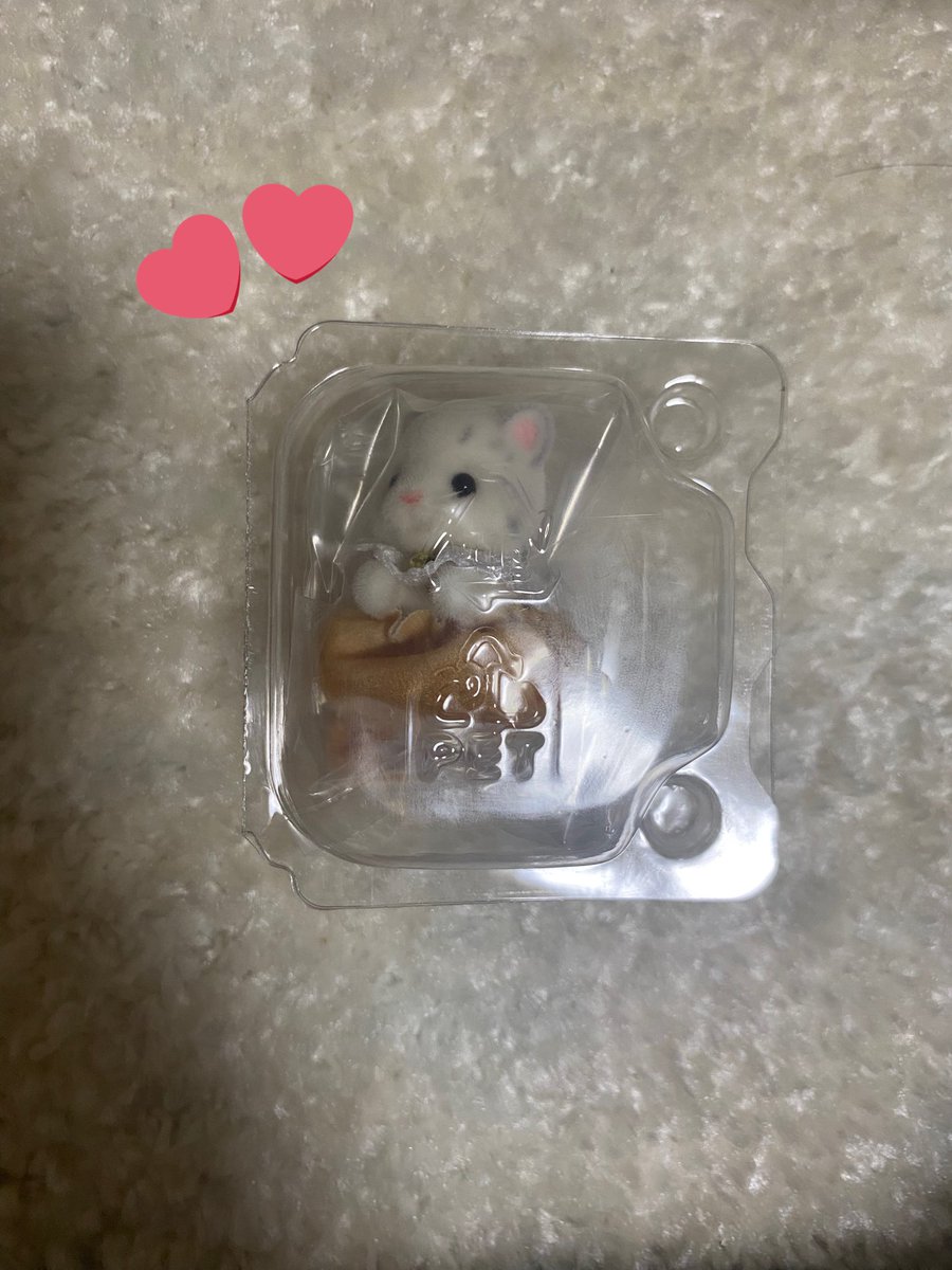 kxcdws's tweet photo. シルバニア キラキラくじ 交換

【譲】ゆきヒョウの赤ちゃん
【求】シマエナガの赤ちゃん

基本郵送での取引となります。
気軽にリプ、DMよろしくお願いします♪ https://t.co/xS9w1eDhJT