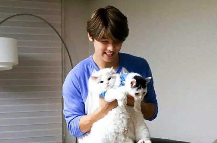 namalangit's tweet photo. @TamagoPost Langit Anantara, 1991

Penulis novel serial killer tapi sebenernya penakut akut. Punya 2 kucing gemas namanya Angin dan Mendung. Ada yang ingin berteman dengan bapak kucing ini? https://t.co/Xn1zHTGE6c