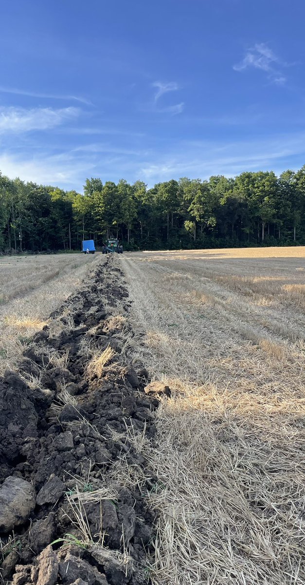 Luke McClary tweet media