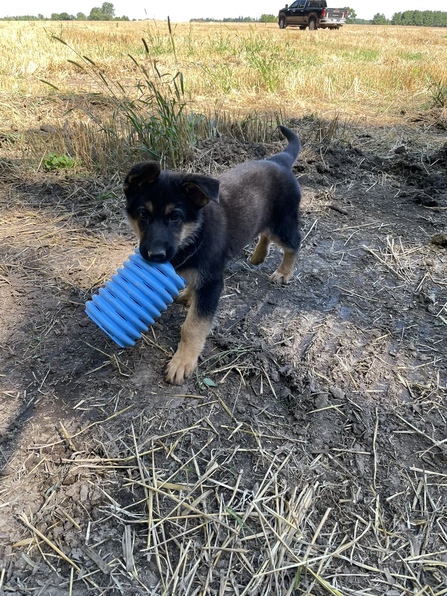 Luke McClary tweet media