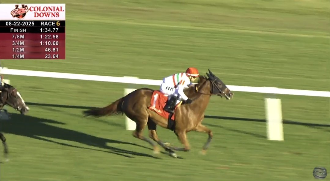 osafweboficial's tweet photo. En su debut en 🇺🇸, NANABUSH🇦🇷 obtuvo un neto triunfo en un allowance optional claiming (bolsa de USD 74.000) que se acaba de correr a lo largo de una milla en el césped de COLONIAL DOWNS. La montó HORACIO KARAMANOS🇦🇷 y la entrena IGNACIO CORREAS🇦🇷 https://t.co/i9SHAidZEg #Cabal…